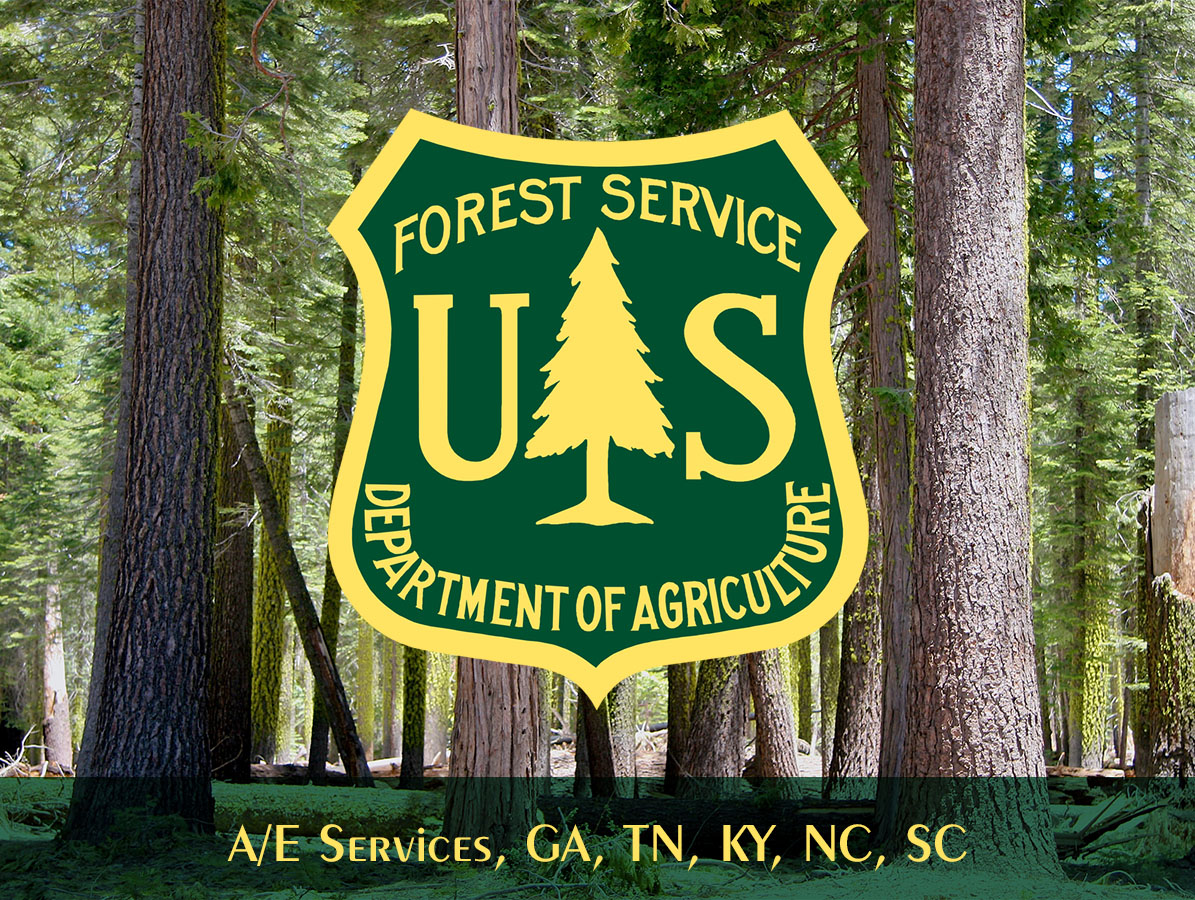 Forestry Services Department Featured Image